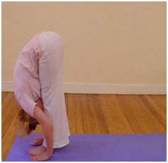 Sun Salutation pose 3