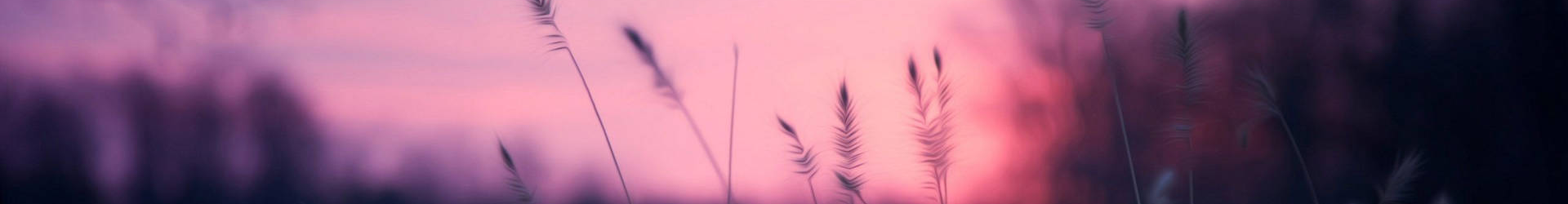 Grass field under purple sky