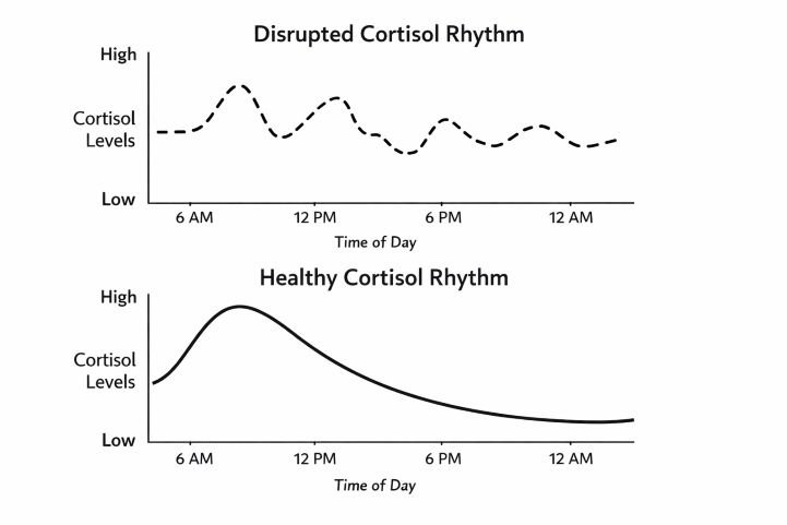 cortisol rhythm disruption and mental hyperarousal