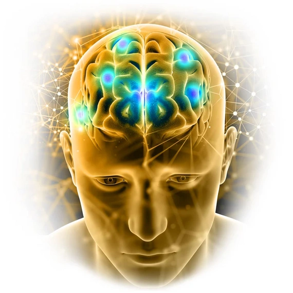 Animated image of human brain depicting enhanced cognitive function, focus, and attention