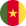 Circular Cameroon Flag